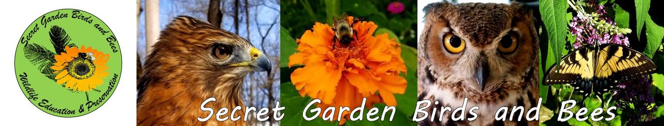Secret Garden Birds and Bees